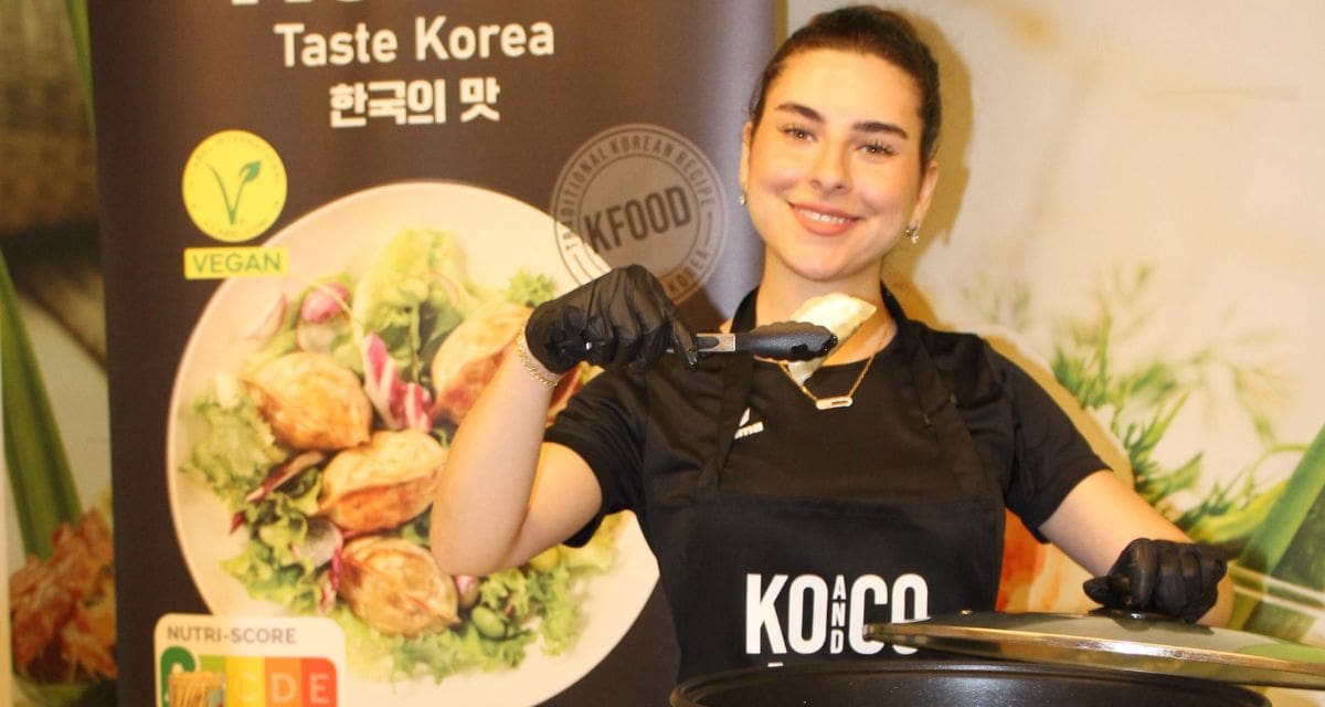 case-study-koandco-featured-image